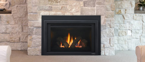 Provident Gas Fireplace Insert